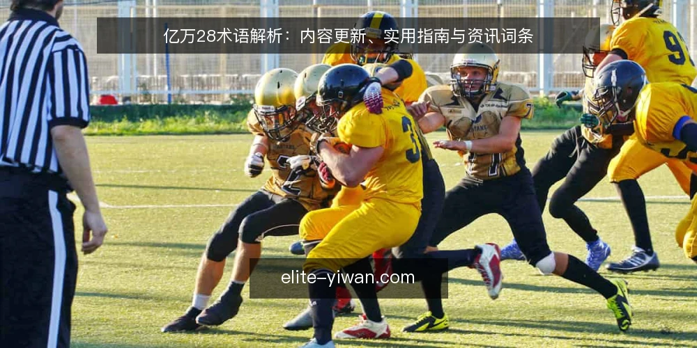 亿万28术语解析：内容更新、实用指南与资讯词条 — 选型决策标准 配图