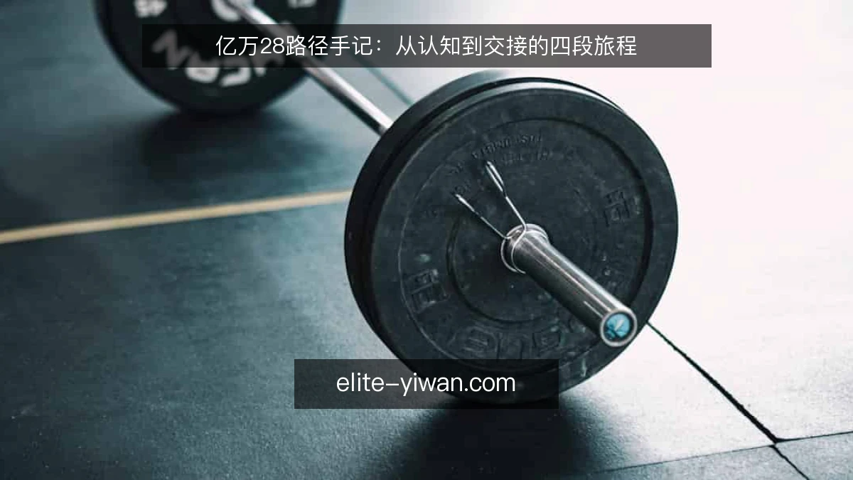 亿万28路径手记：从认知到交接的四段旅程